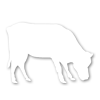 Calf Icon